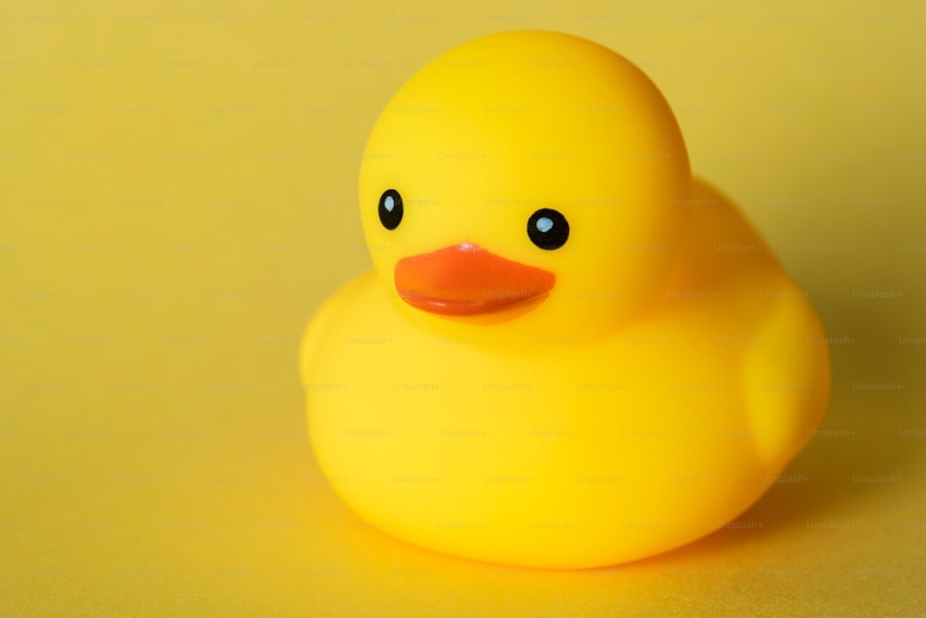 image single ducks