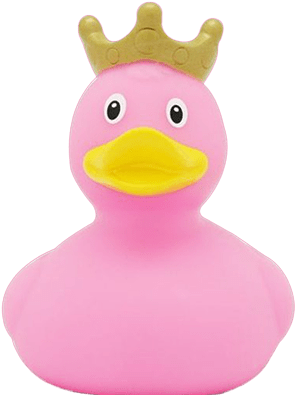Classic Rubber Duck Category Image
