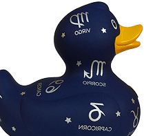 novelty duck image