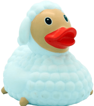 Themed Rubber Duck Category Image
